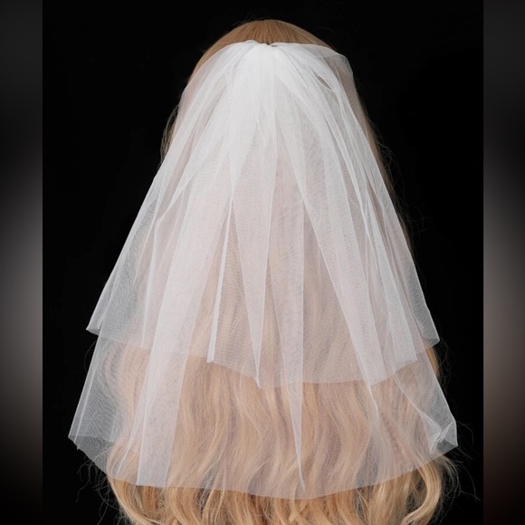 Veil - Picture 1 of 1